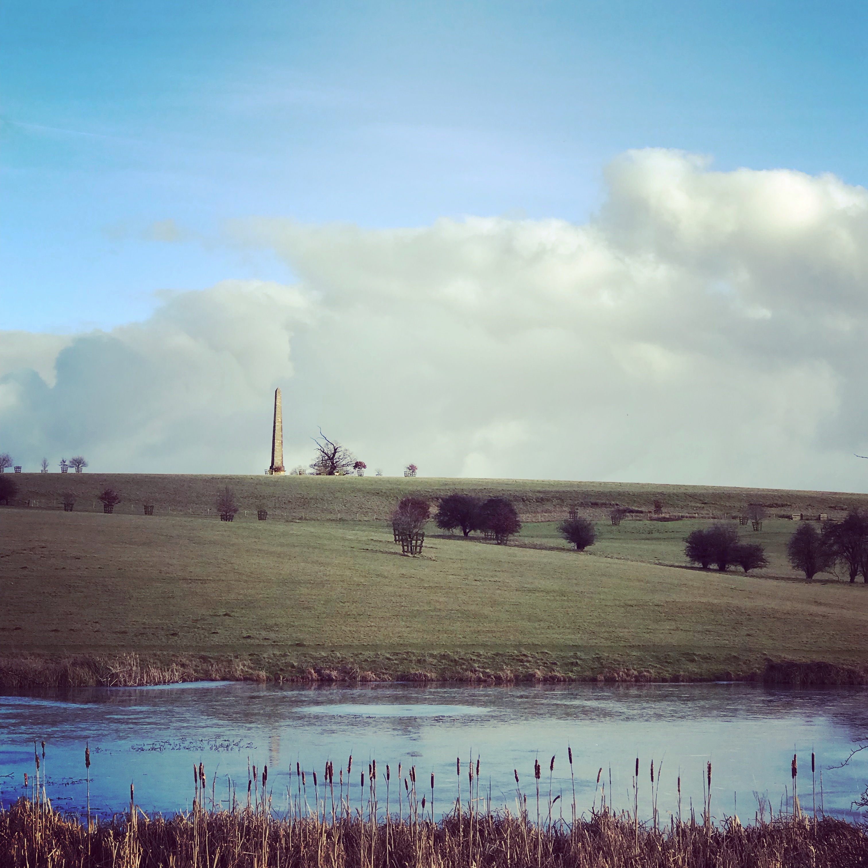 STOWE Adventure Walk & 'For Your Tomorrow'