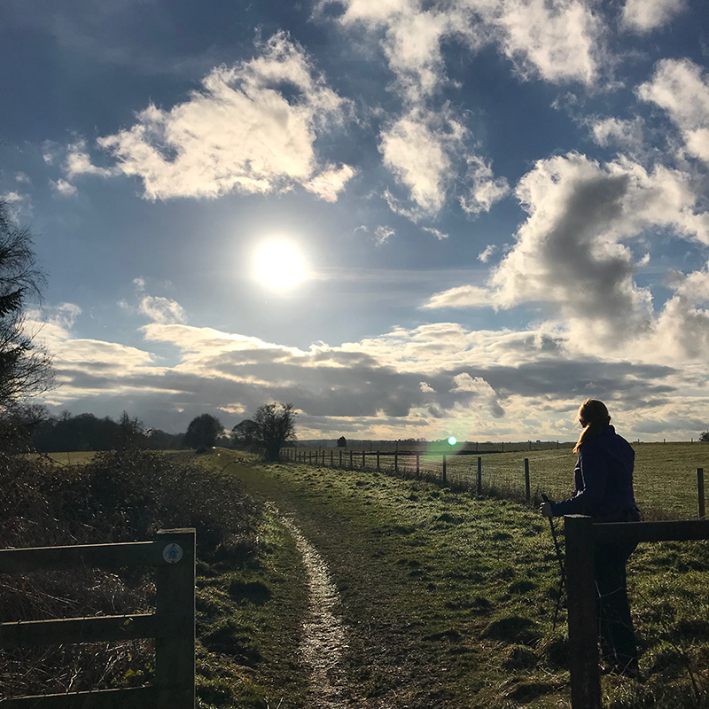 STOWE Adventure Walk & 'For Your Tomorrow'