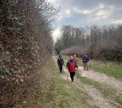 A FASTER PACED WALK from Crawley (Gear 2 - 3) - 6.5 miles