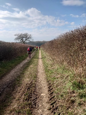 A FASTER PACED WALK from Crawley (Gear 2 - 3) - 6.5 miles