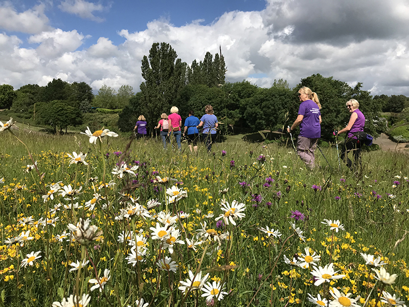 Adventure Walk for all Hastoe with Karen 75 mins