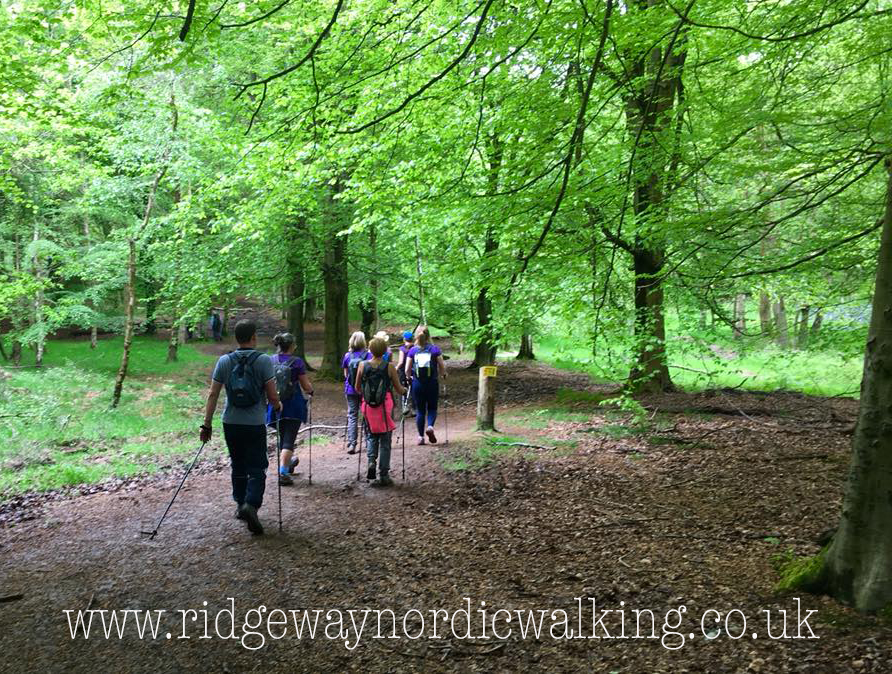 Adventure Walk for all Hastoe with Sarah 75 mins