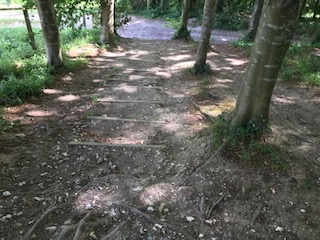 Stepping out Arundel Park Walk (Pace 1-2)