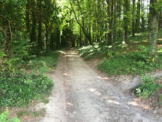 Stepping out Arundel Park Walk (Pace 1-2)