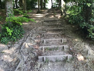 Stepping out Arundel Park Walk (Pace 1-2)