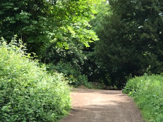 Stepping out Arundel Park Walk (Pace 1-2)