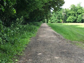 Stepping out Arundel Park Walk (Pace 1-2)