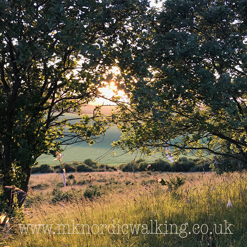 WOBURN SOLSTICE Special, Moderate Adventure Walk with Emma, 2hr