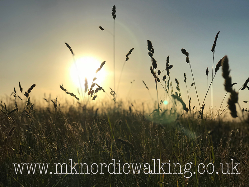 WOBURN SOLSTICE Special, Moderate Adventure Walk with Emma, 2hr