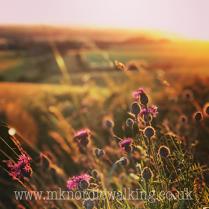 WOBURN SOLSTICE Special, Moderate Adventure Walk with Emma, 2hr