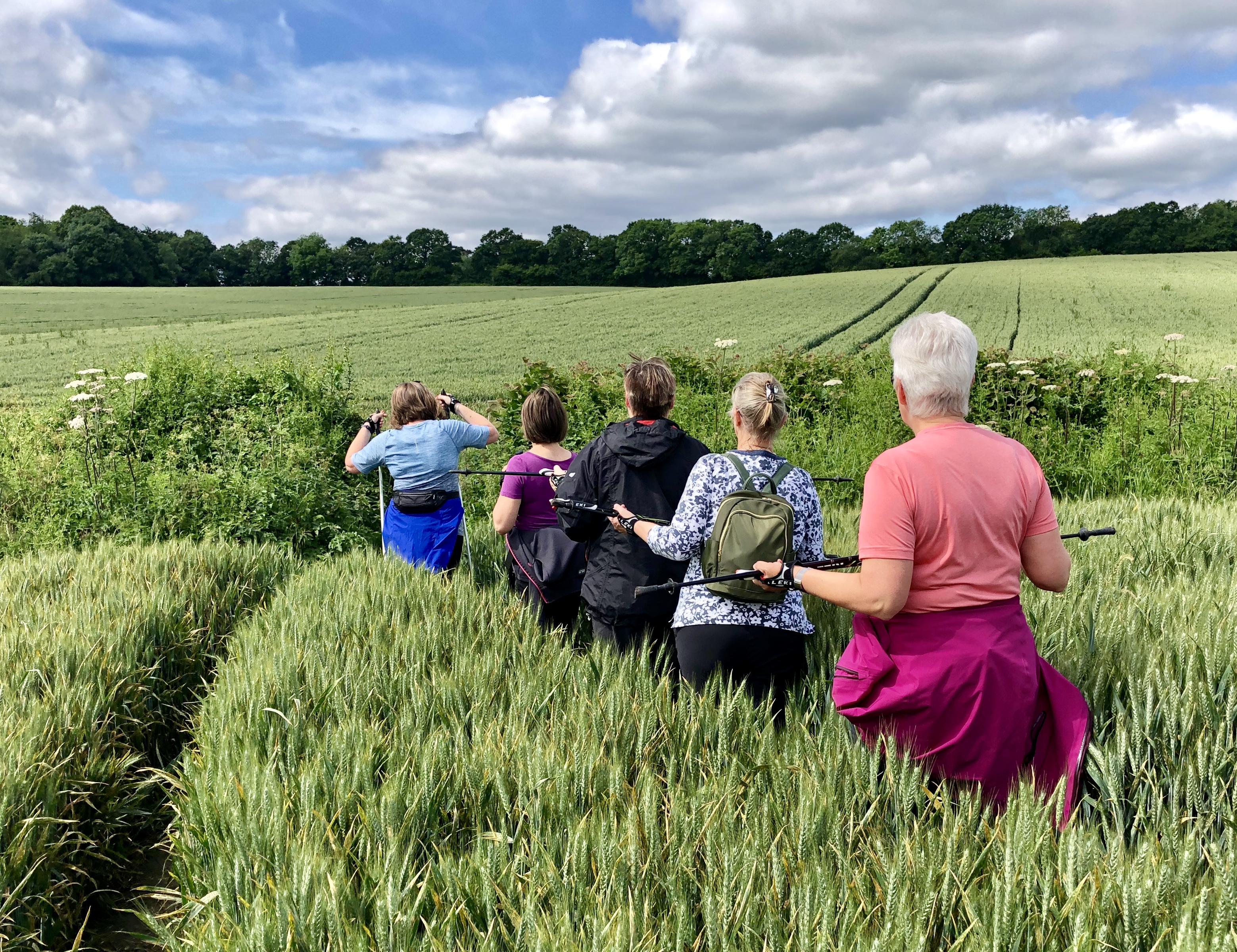 CORONATION WALK AND LUNCH - GEAR 2