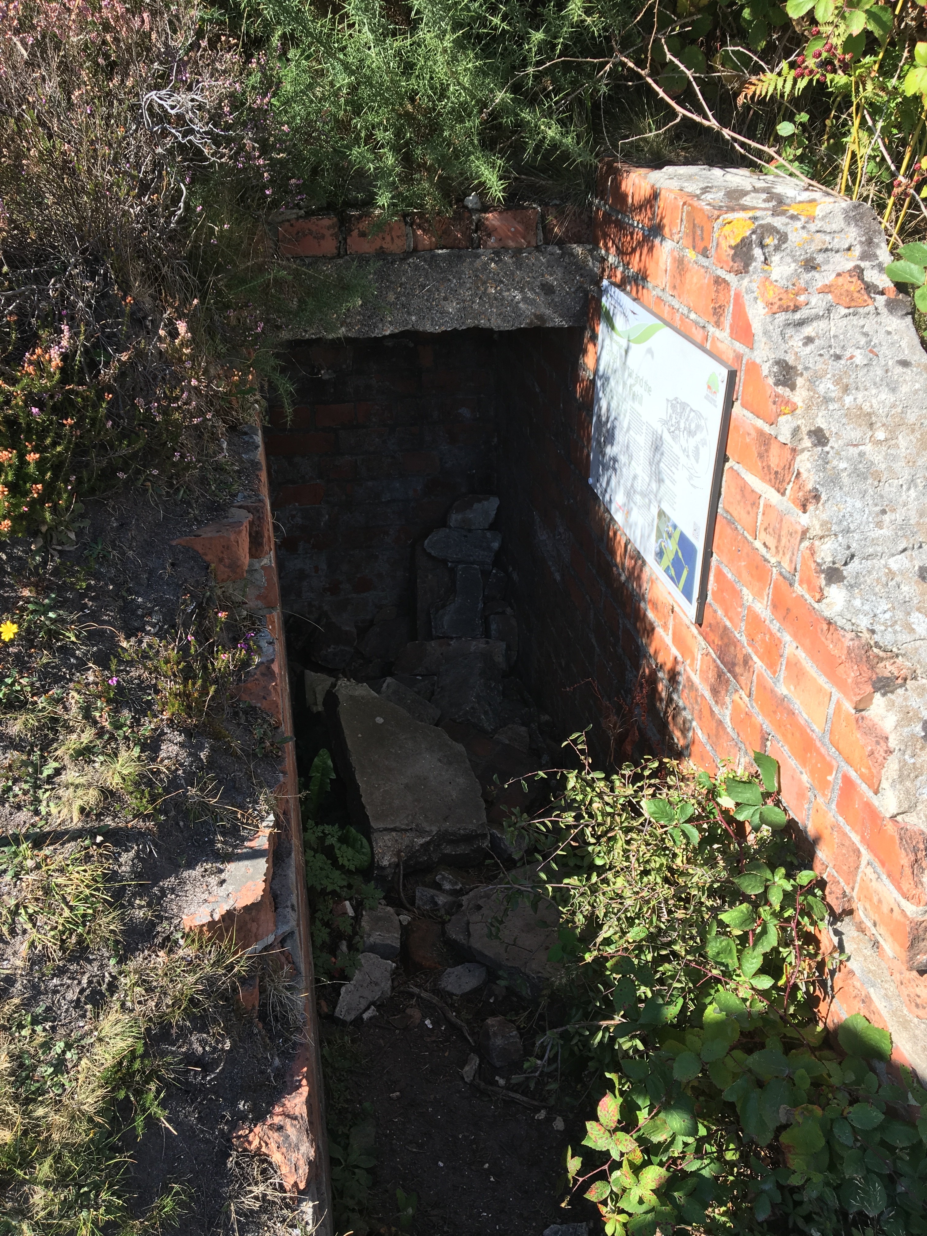 Appleslade Social Adventure Walk