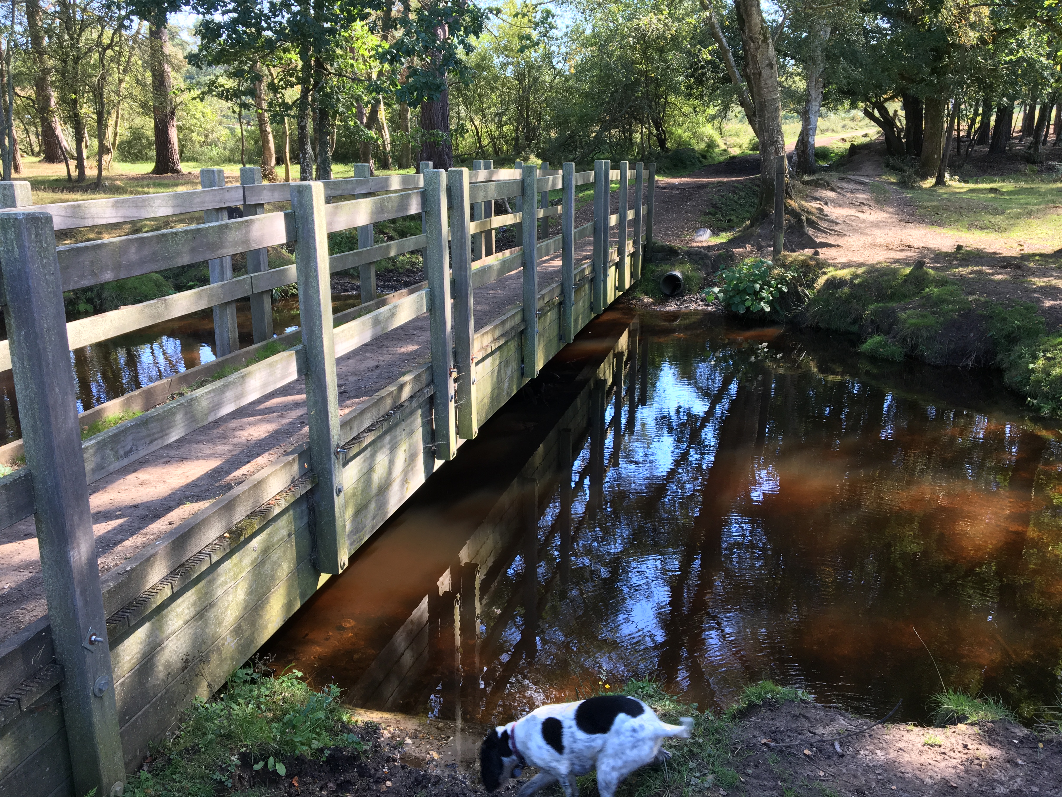 Appleslade Social Adventure Walk