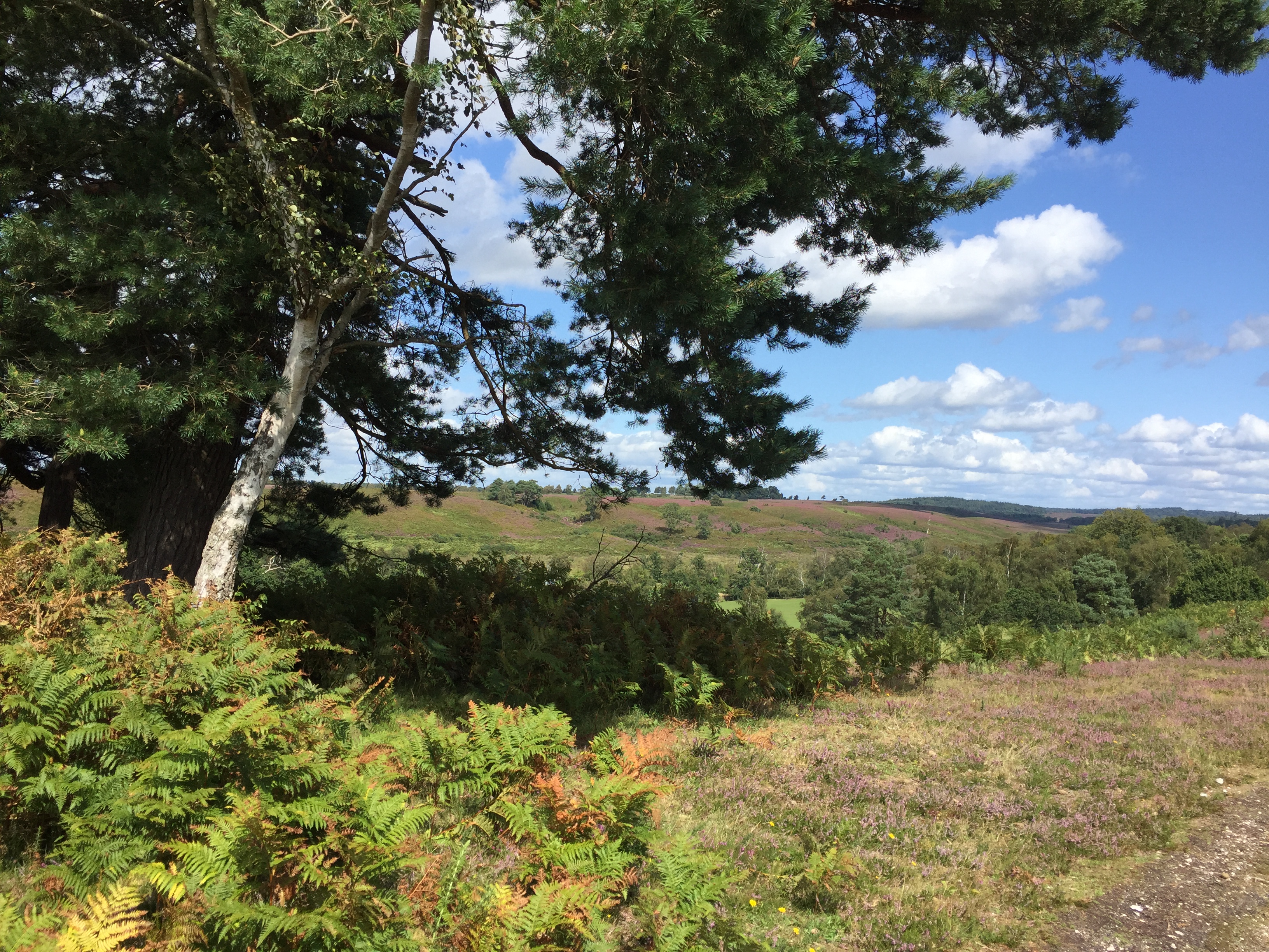 Appleslade Social Adventure Walk