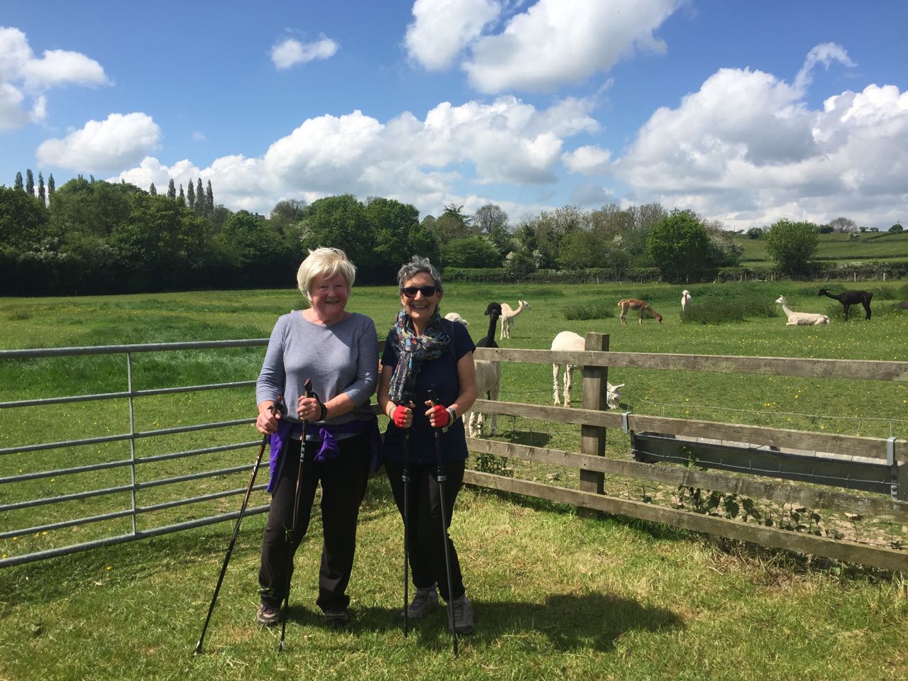 Gentle Adventure walk around Denstone