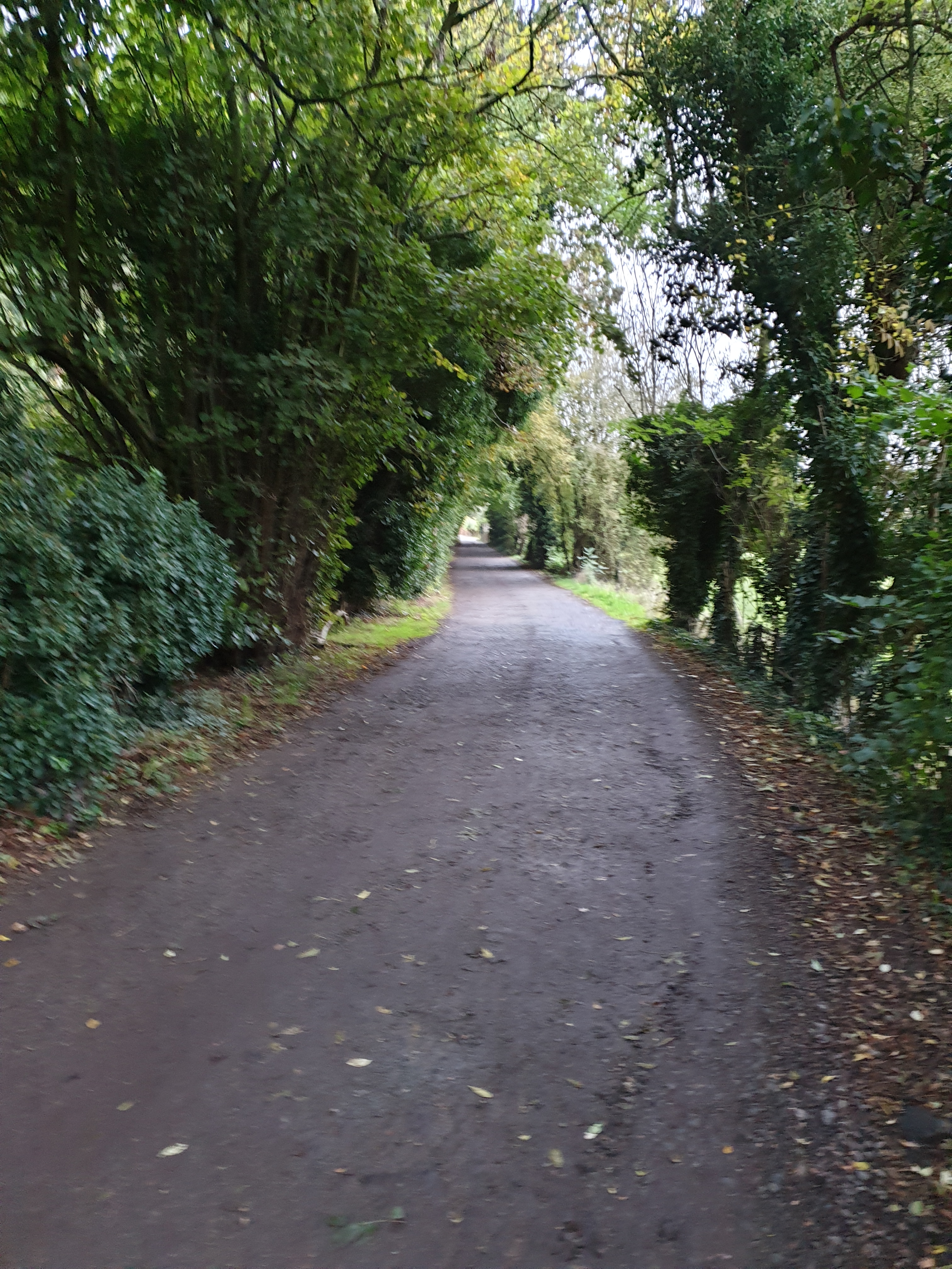 Vitality - Hertford River Walk (4 miles)