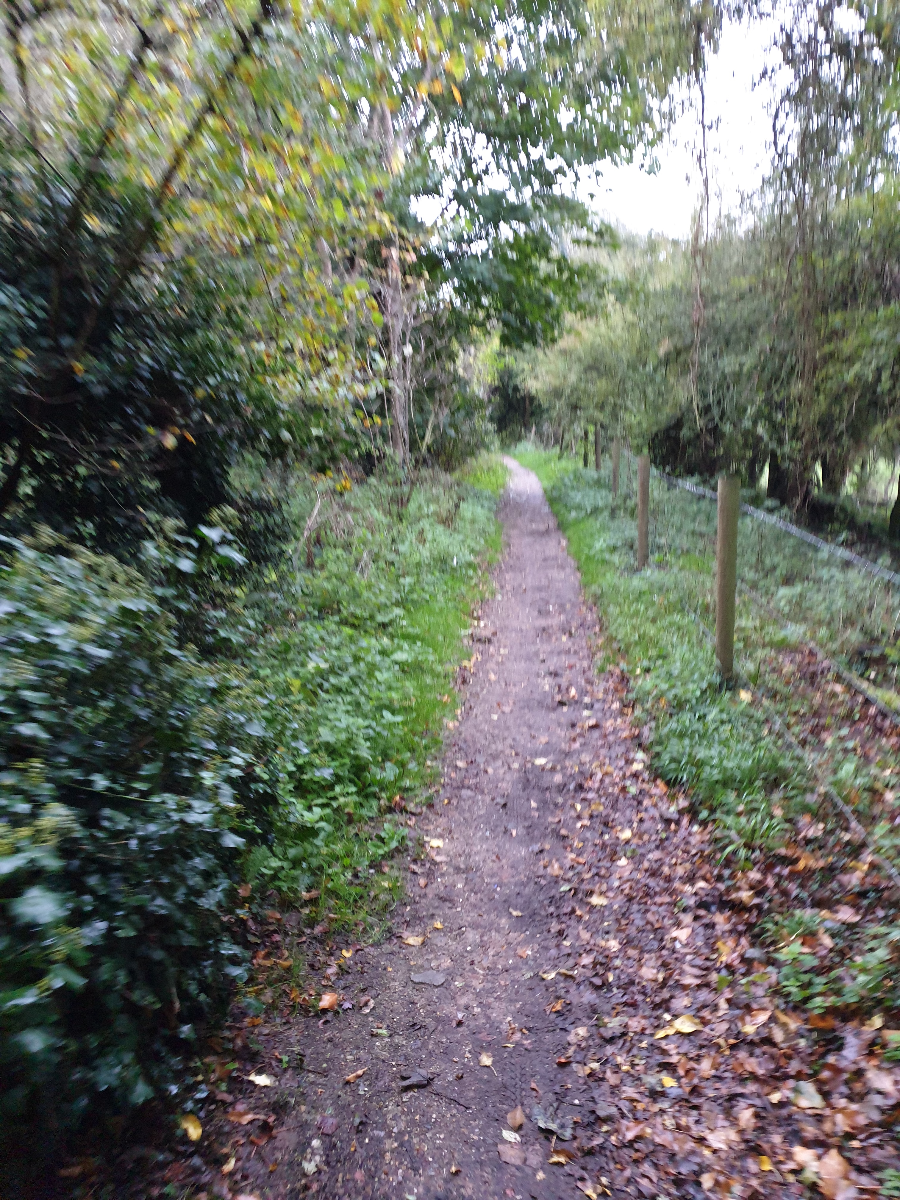 Vitality - Hertford River Walk (4 miles)