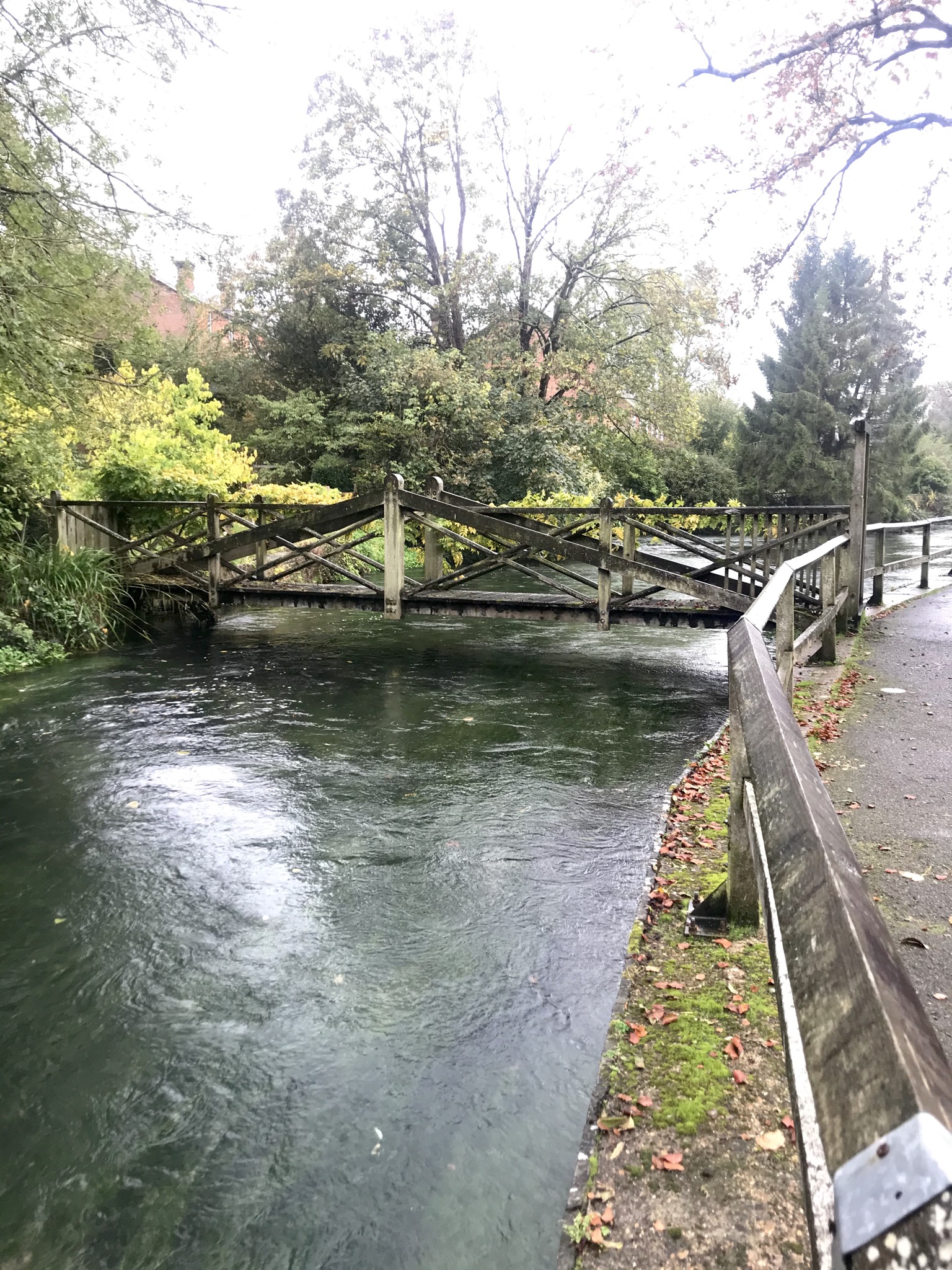Winchester Christmas Market Trip with River Itchen Walk