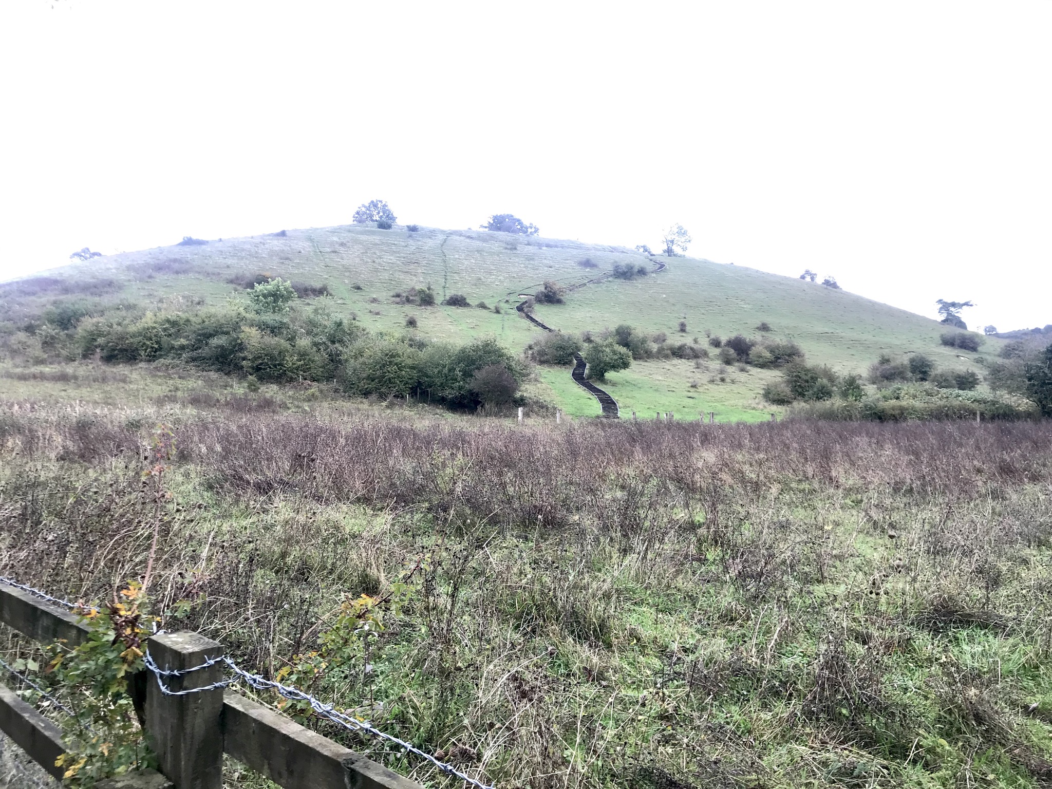 Winchester Christmas Market Trip with River Itchen Walk