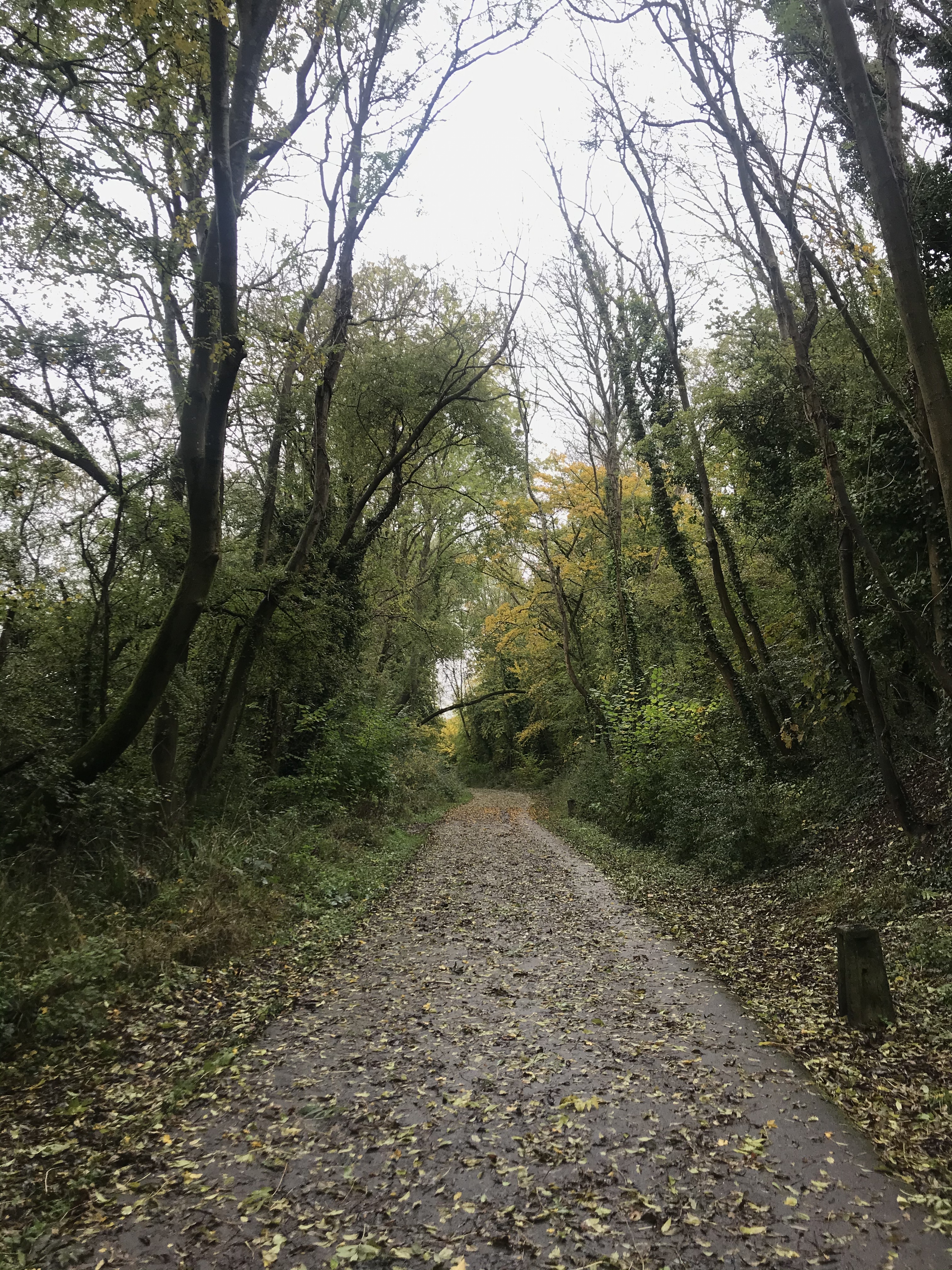 Winchester Christmas Market Trip with River Itchen Walk