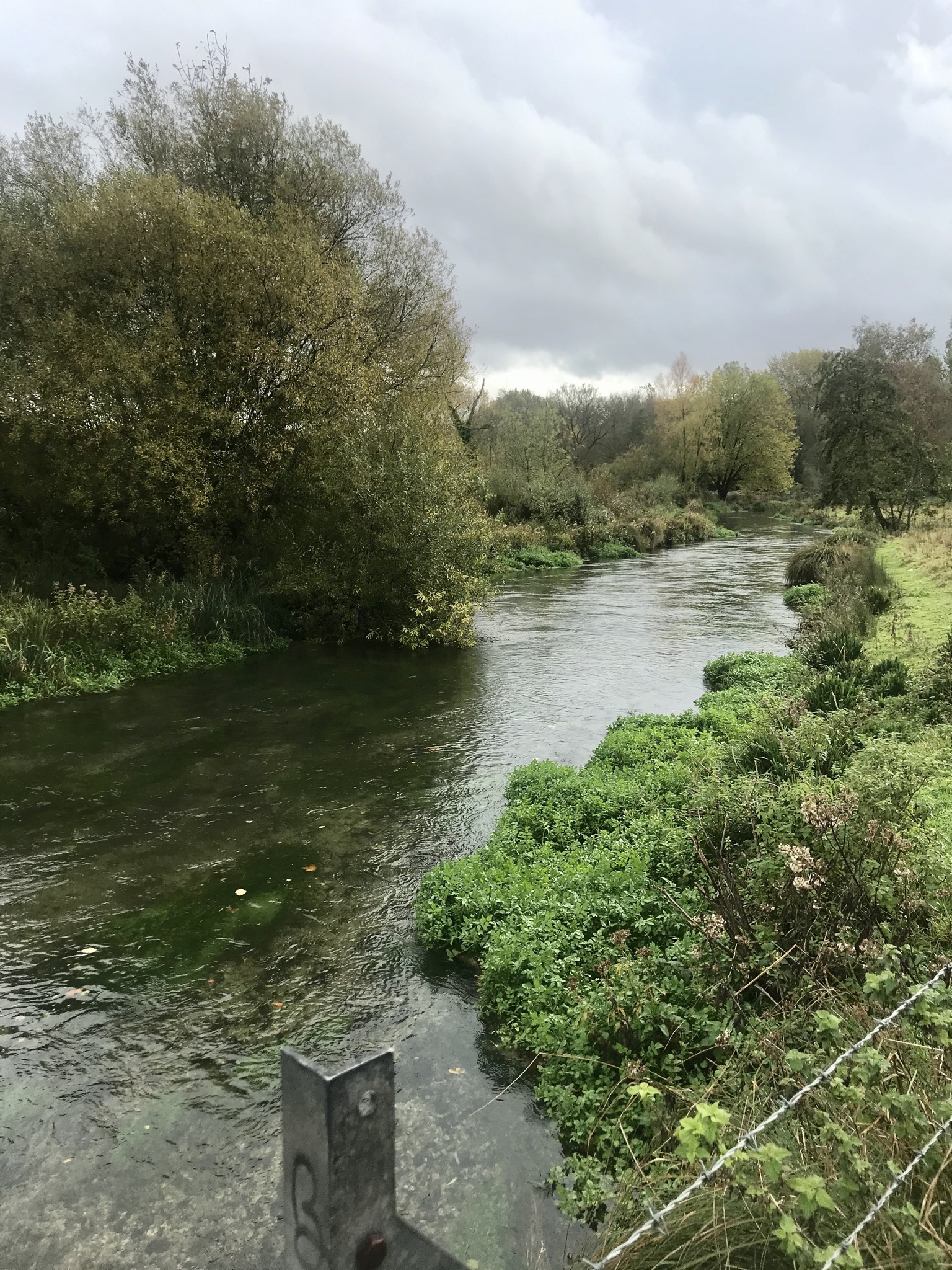 Winchester Christmas Market Trip with River Itchen Walk