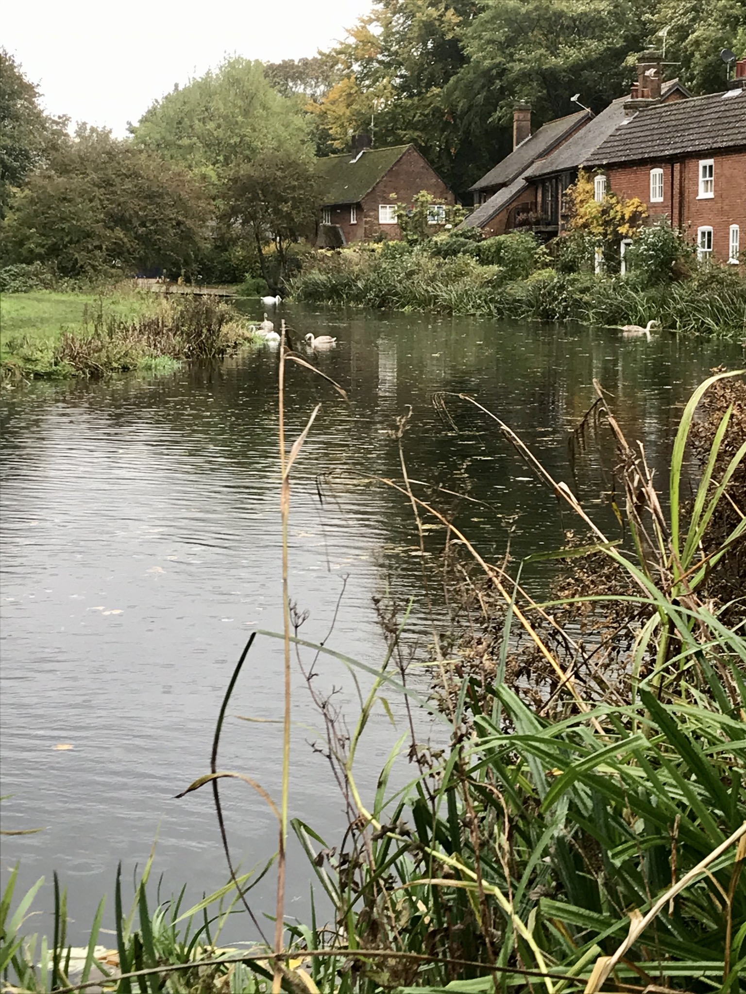 Winchester Christmas Market Trip with River Itchen Walk