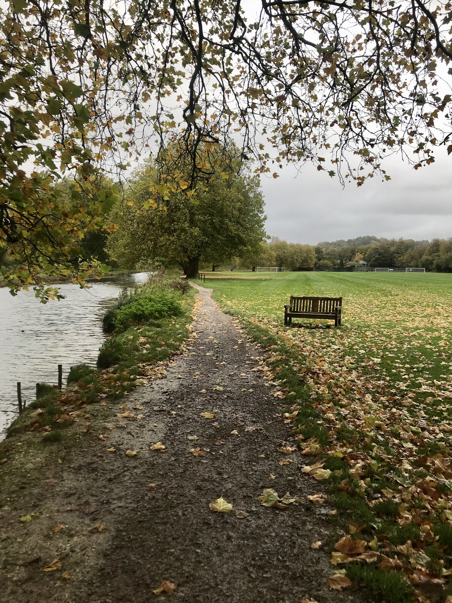 Winchester Christmas Market Trip with River Itchen Walk