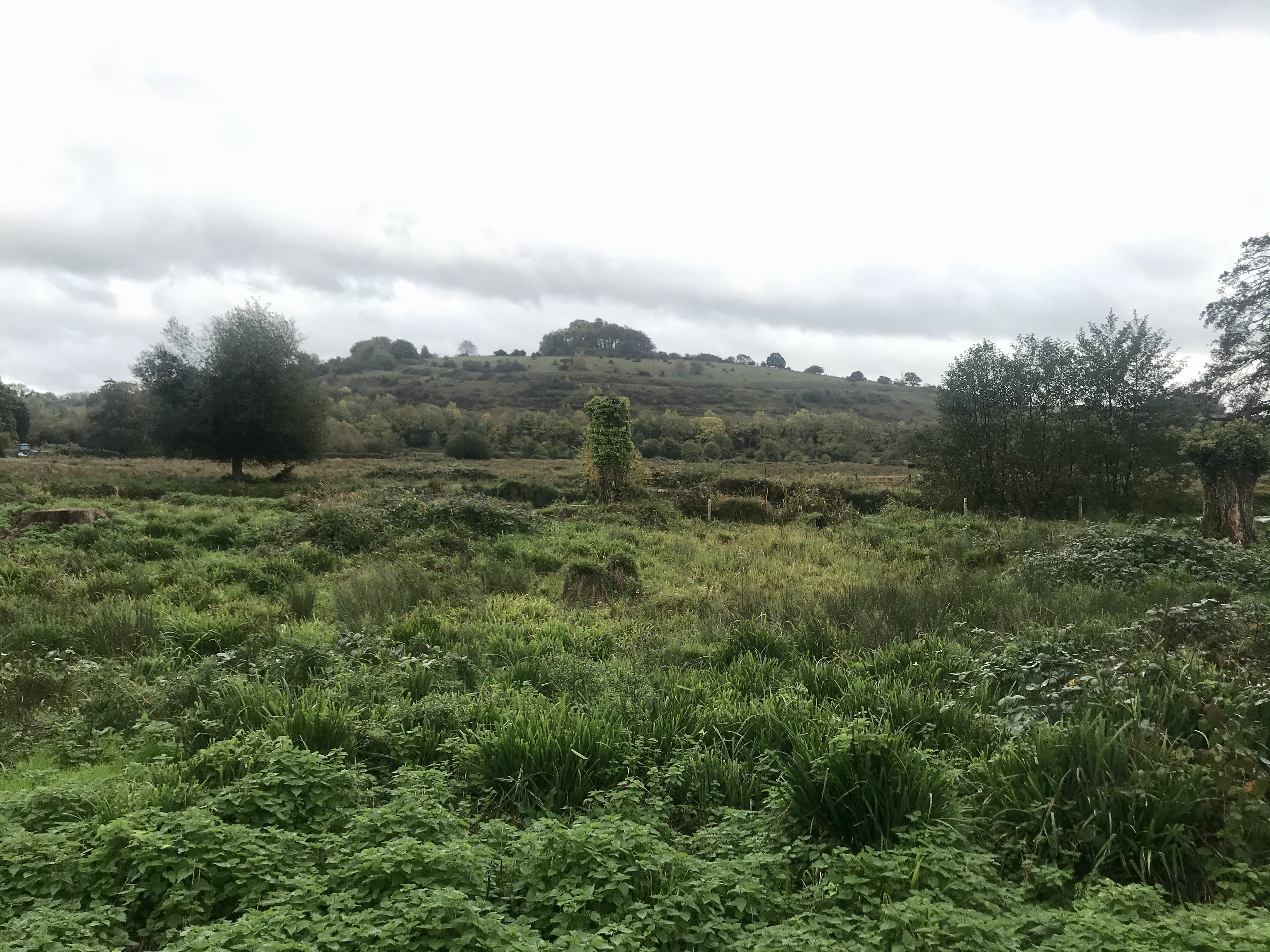 Winchester Christmas Market Trip with River Itchen Walk