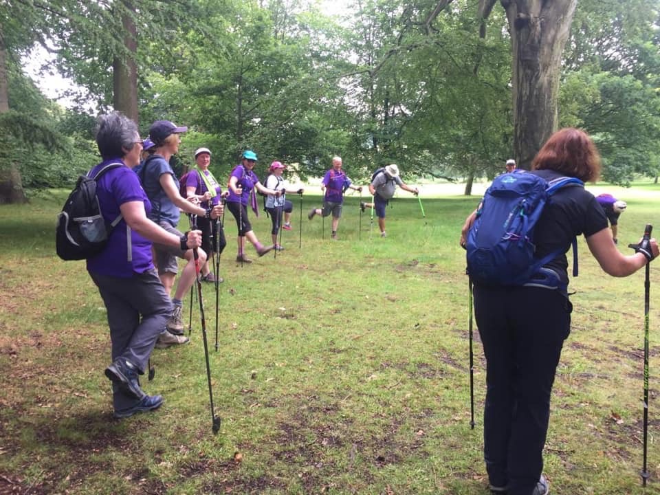 Gentle Paced Wellness WALK in Allestree Park