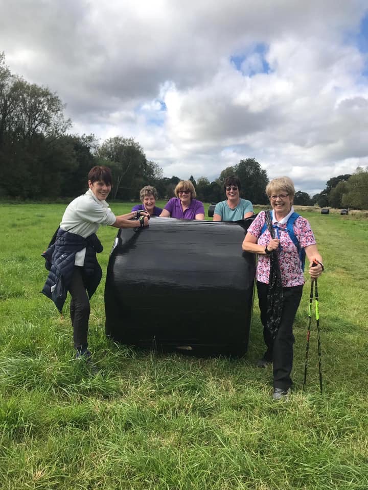 Gentle Paced Wellness WALK in Allestree Park