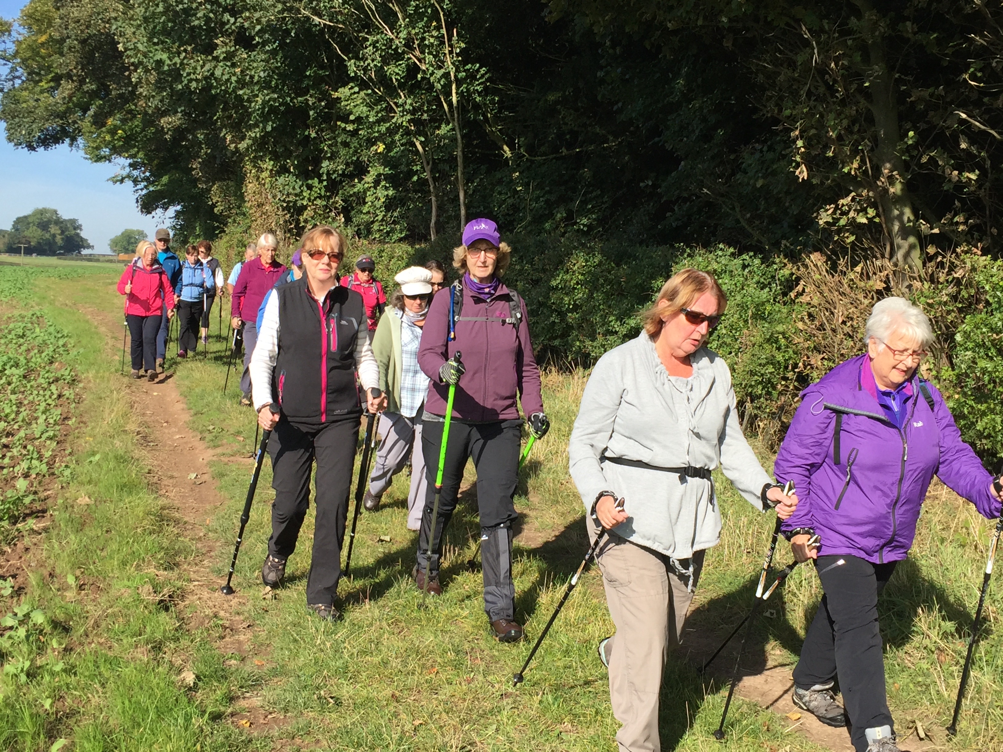 Gentle Paced Wellness WALK in Allestree Park