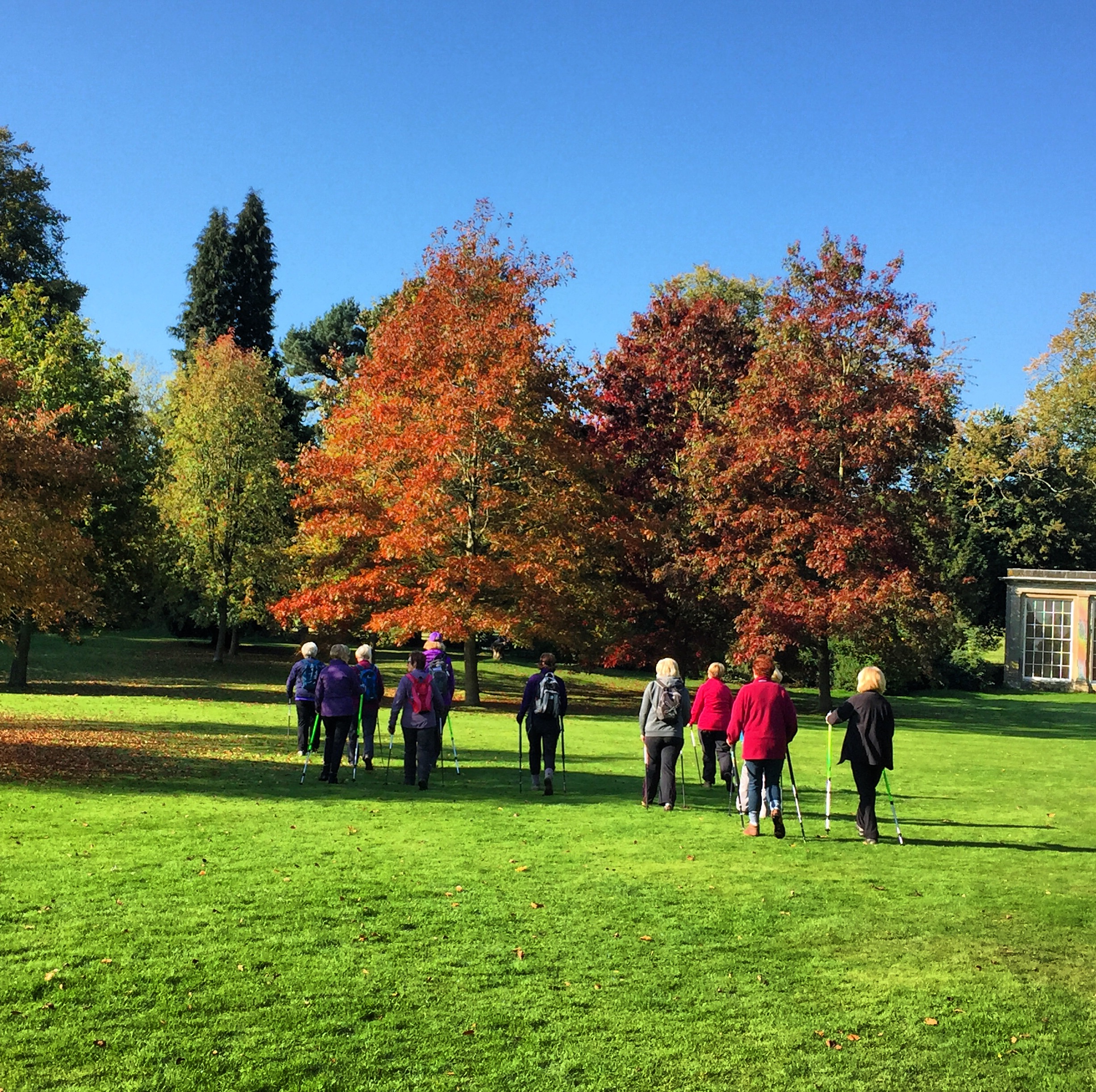 Gentle Paced Wellness WALK in Allestree Park