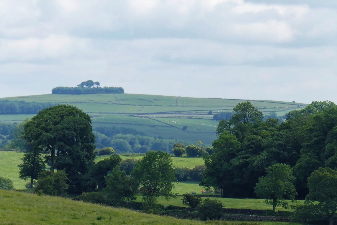 Thorpe, TWIX walk - all welcome