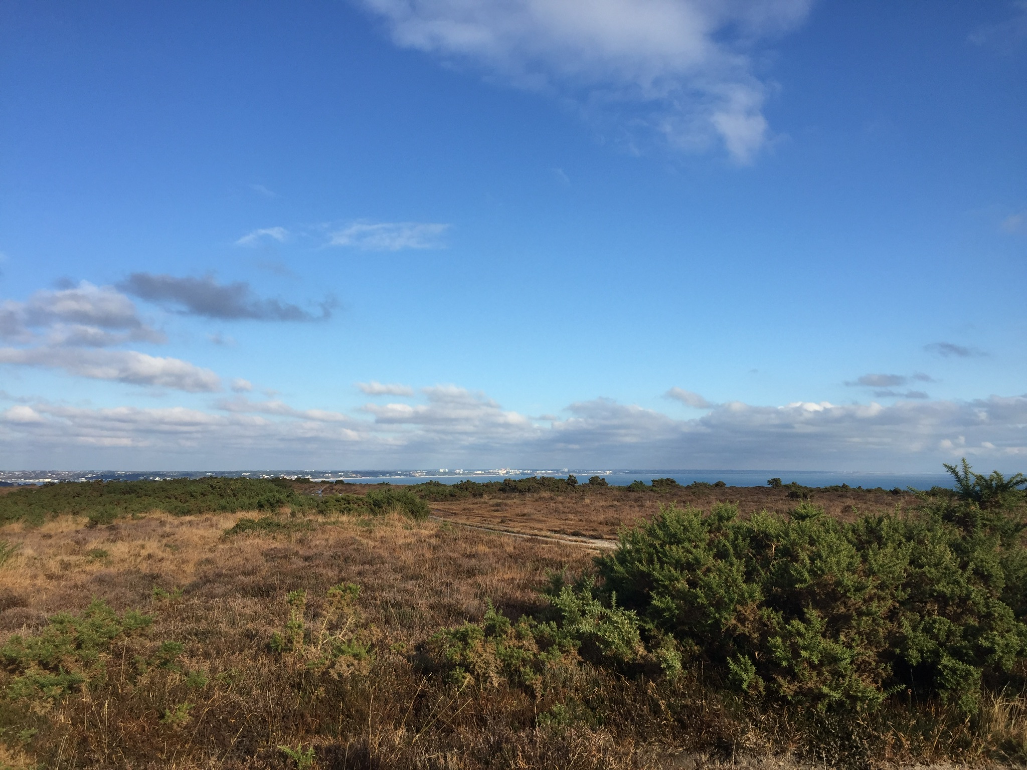 Fun Enid Blyton Reccie Walk