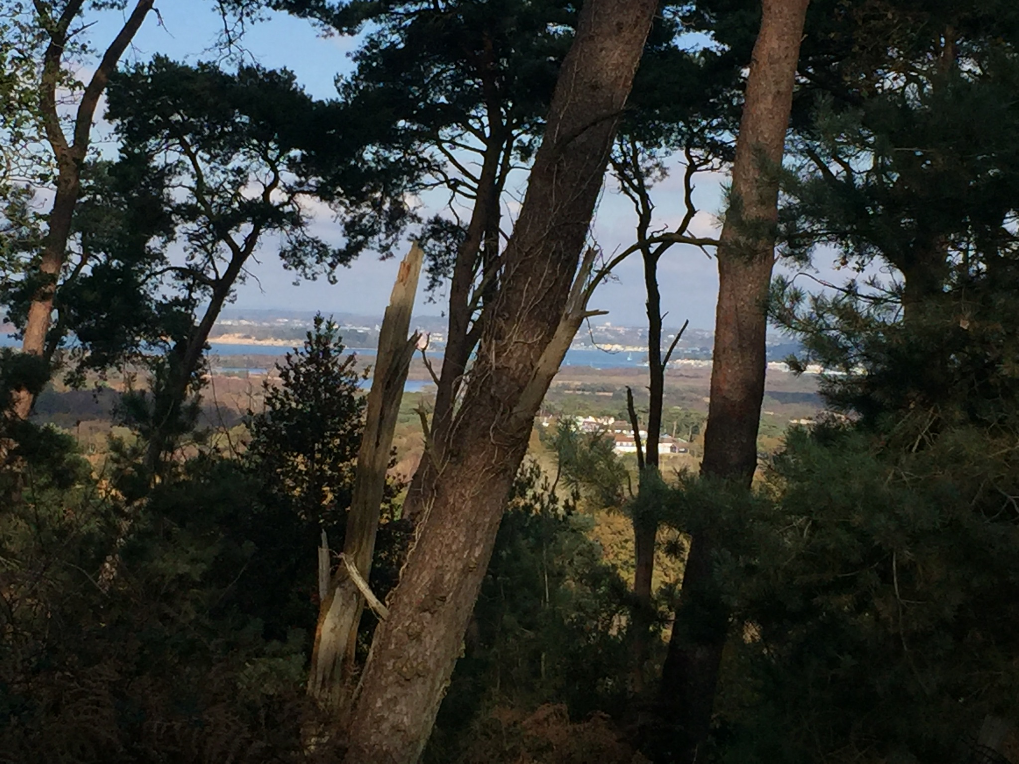 Fun Enid Blyton Reccie Walk