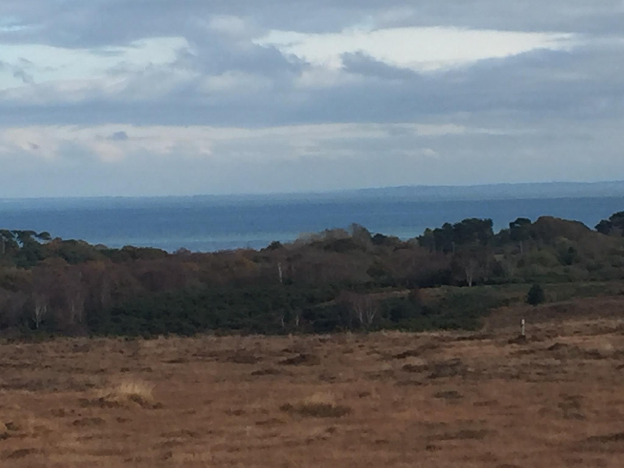 Fun Enid Blyton Reccie Walk