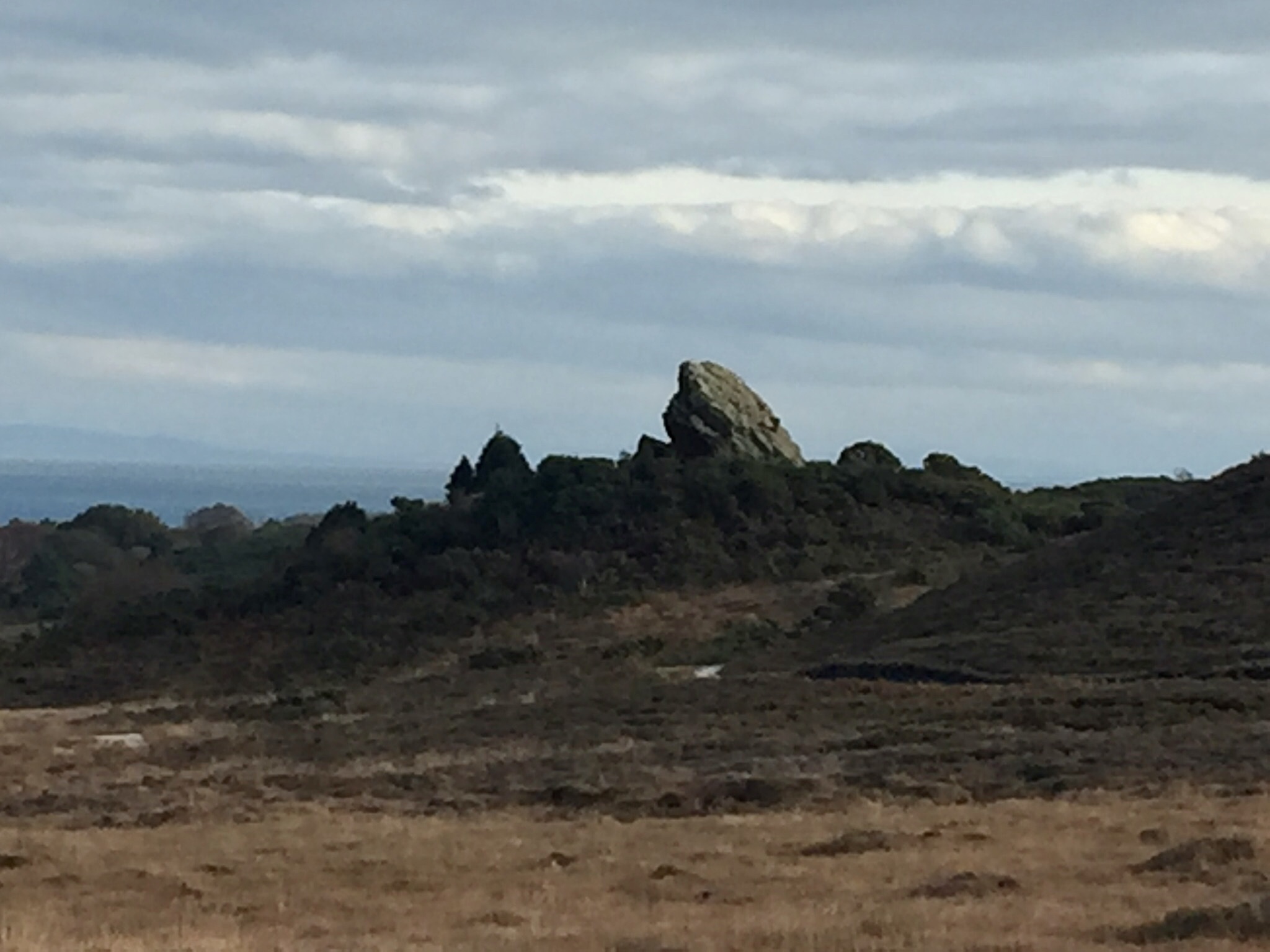 Fun Enid Blyton Reccie Walk