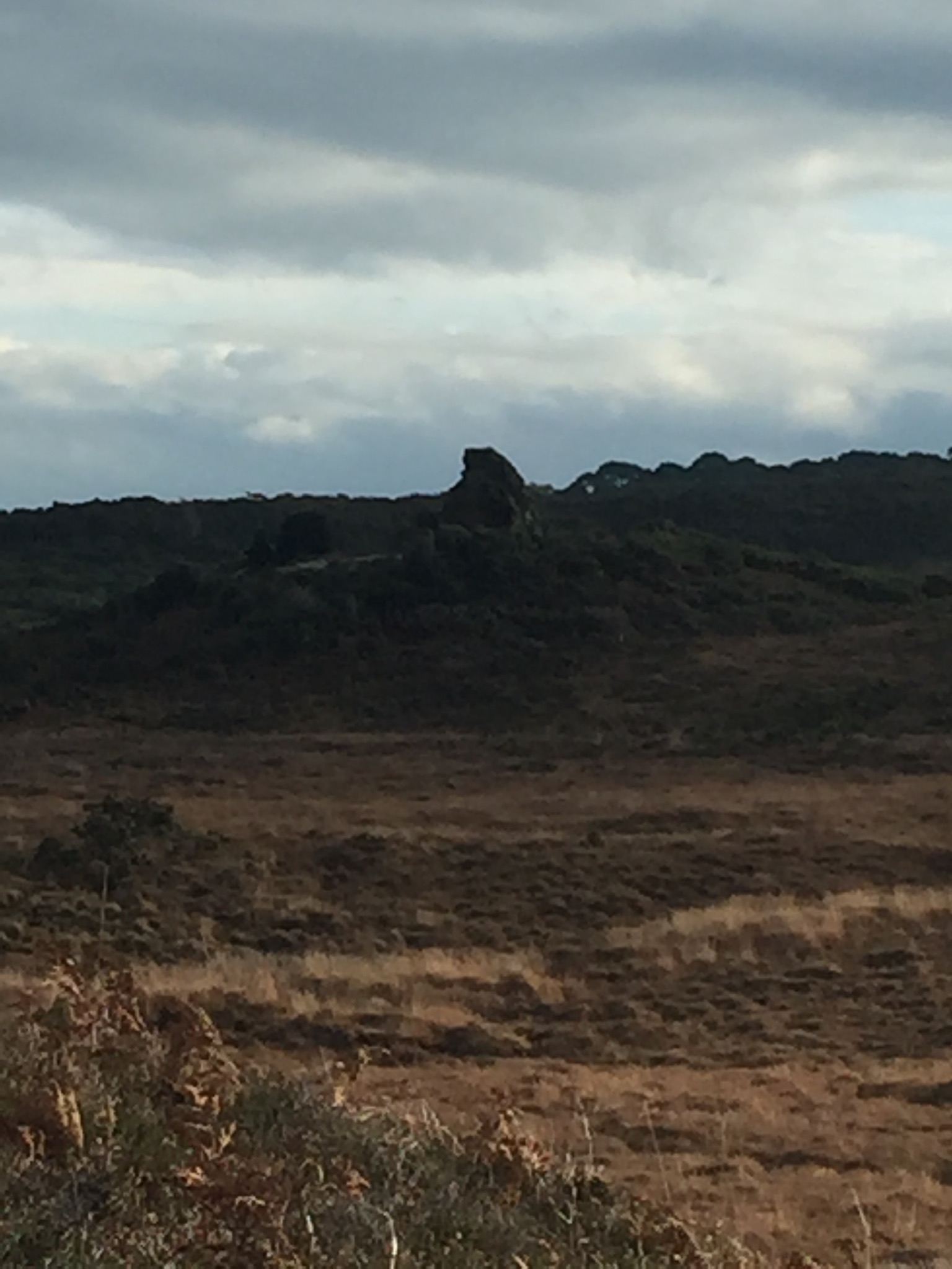 Fun Enid Blyton Reccie Walk