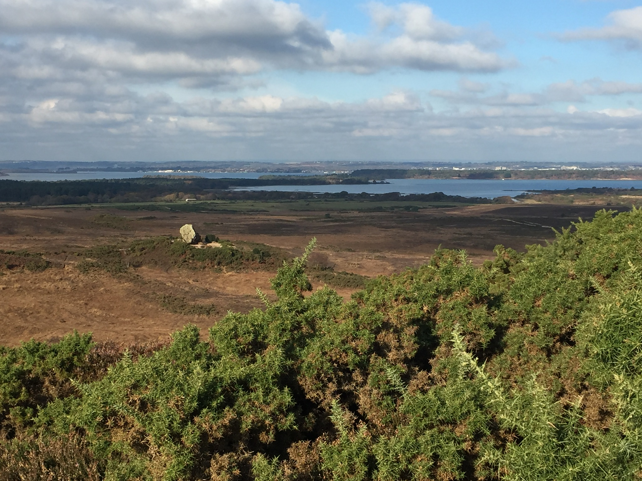 Fun Enid Blyton Reccie Walk