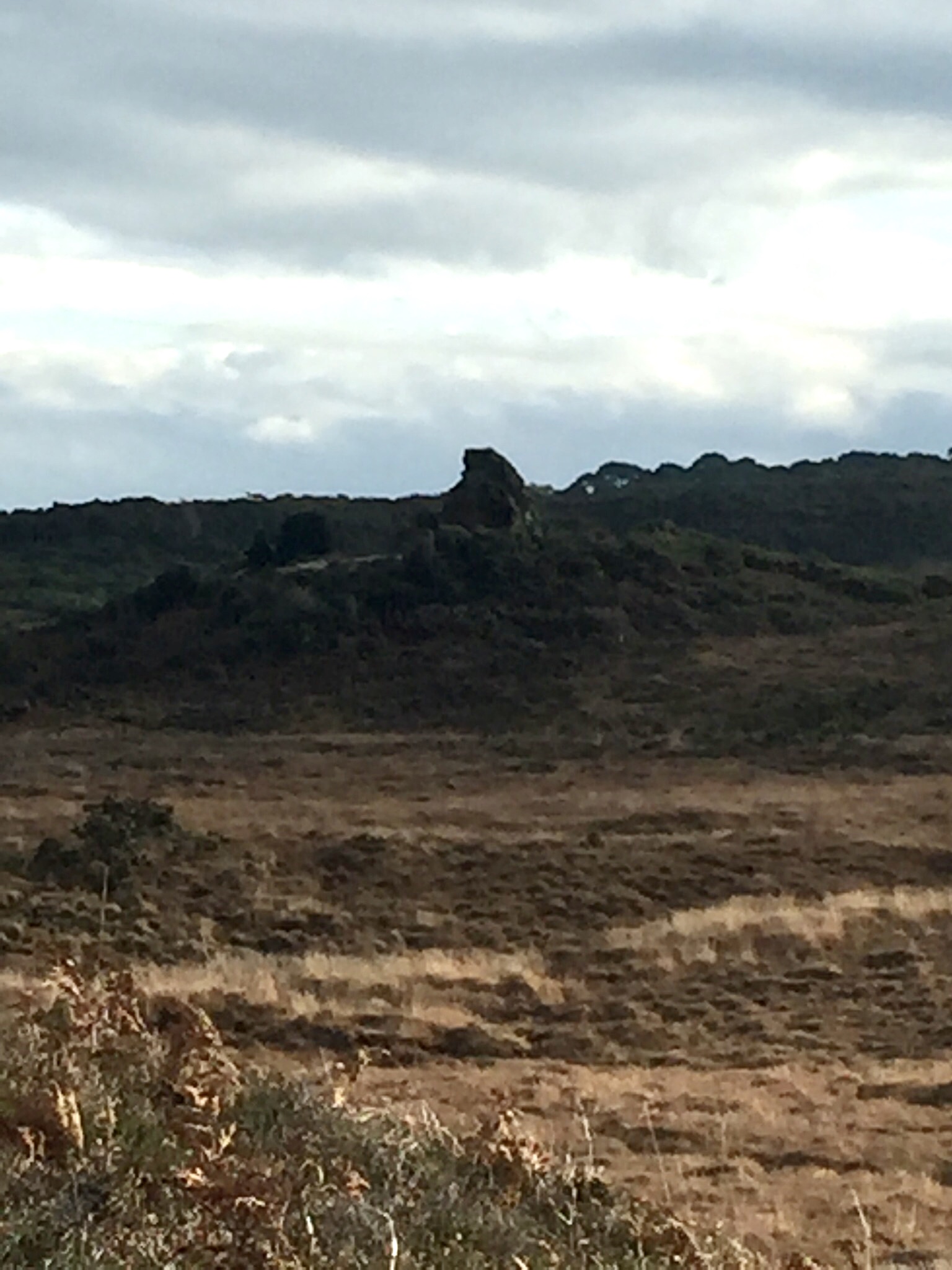 Fun Enid Blyton Reccie Walk