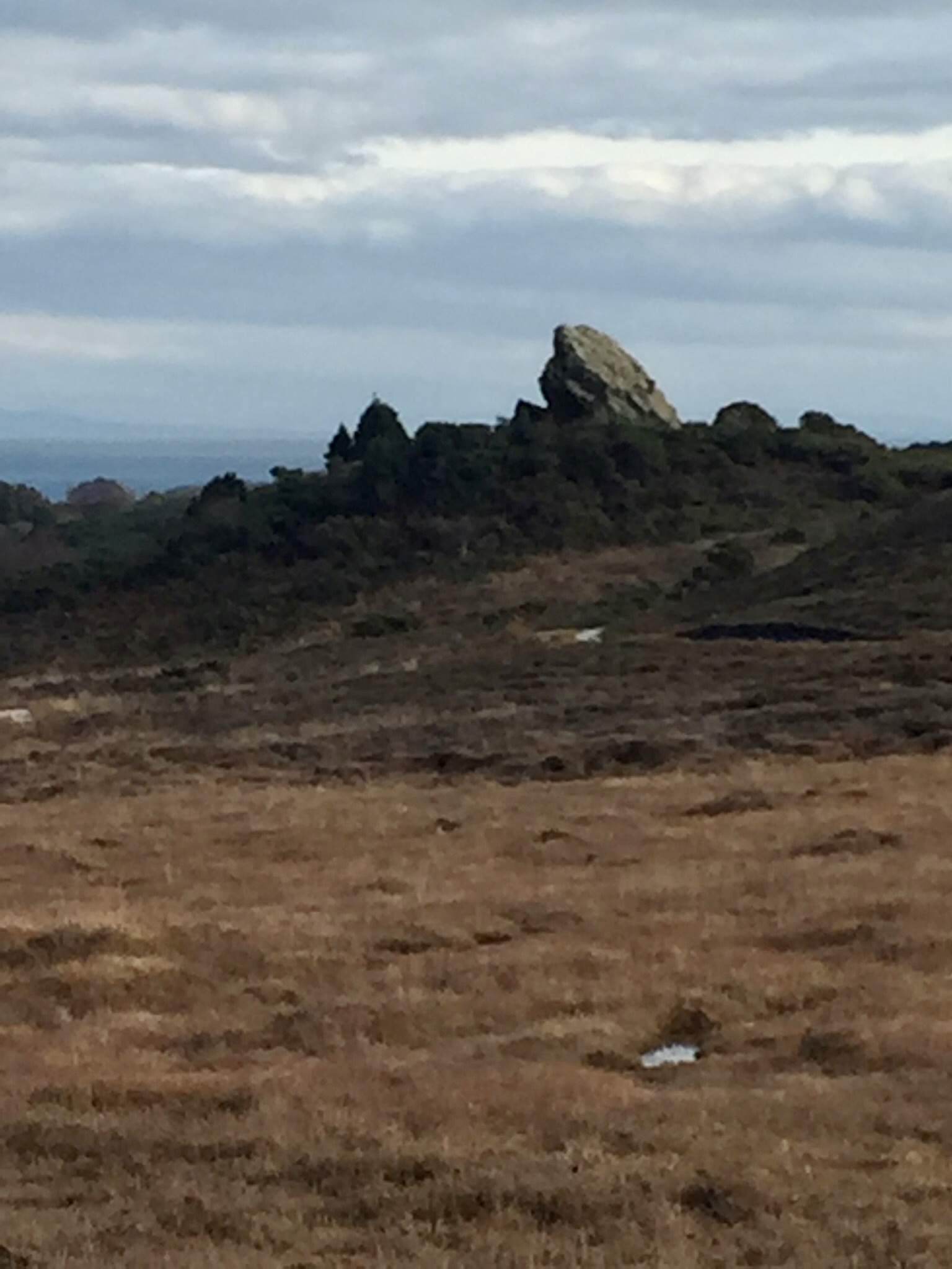 Fun Enid Blyton Reccie Walk