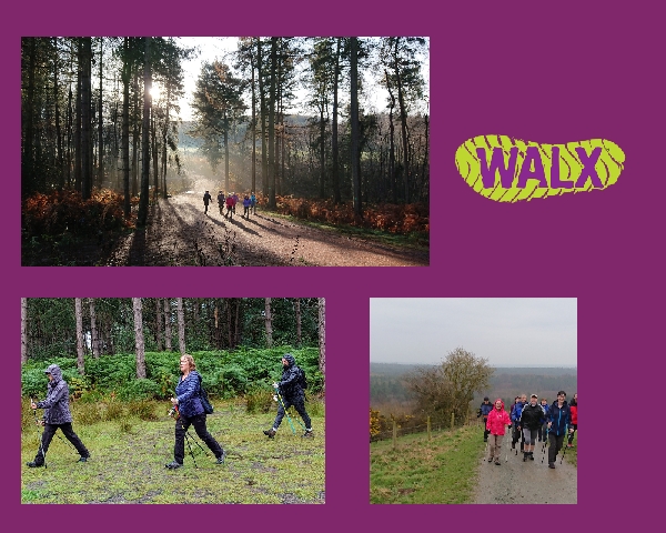 Introduction to Nordic Walking with the Power of Poles induction. Delamere Forest