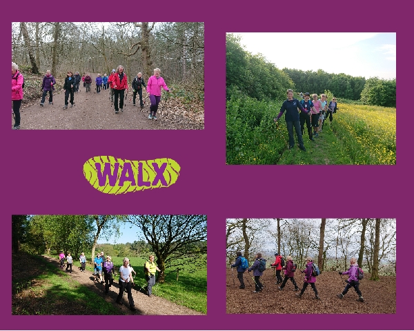 Introduction to Nordic Walking with the Power of Poles Induction: CASTLE PARK FRODSHAM