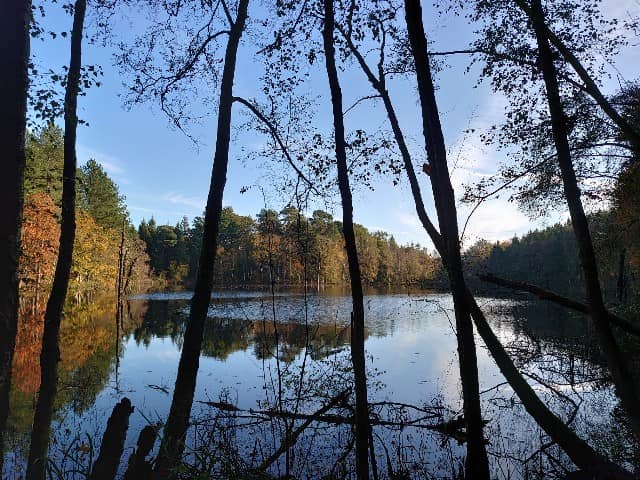 Introduction to Nordic Walking with the Power of Poles induction. Delamere Forest