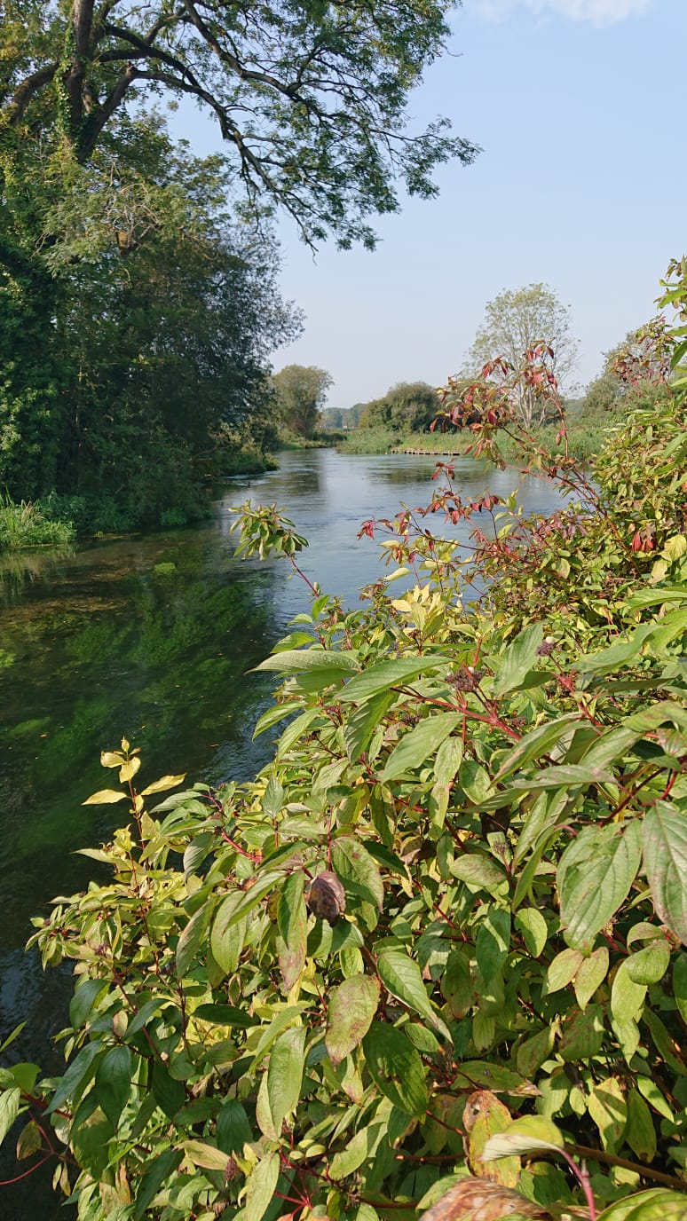 after walk from Ovington (Gear 1 to 2) - 4 miles