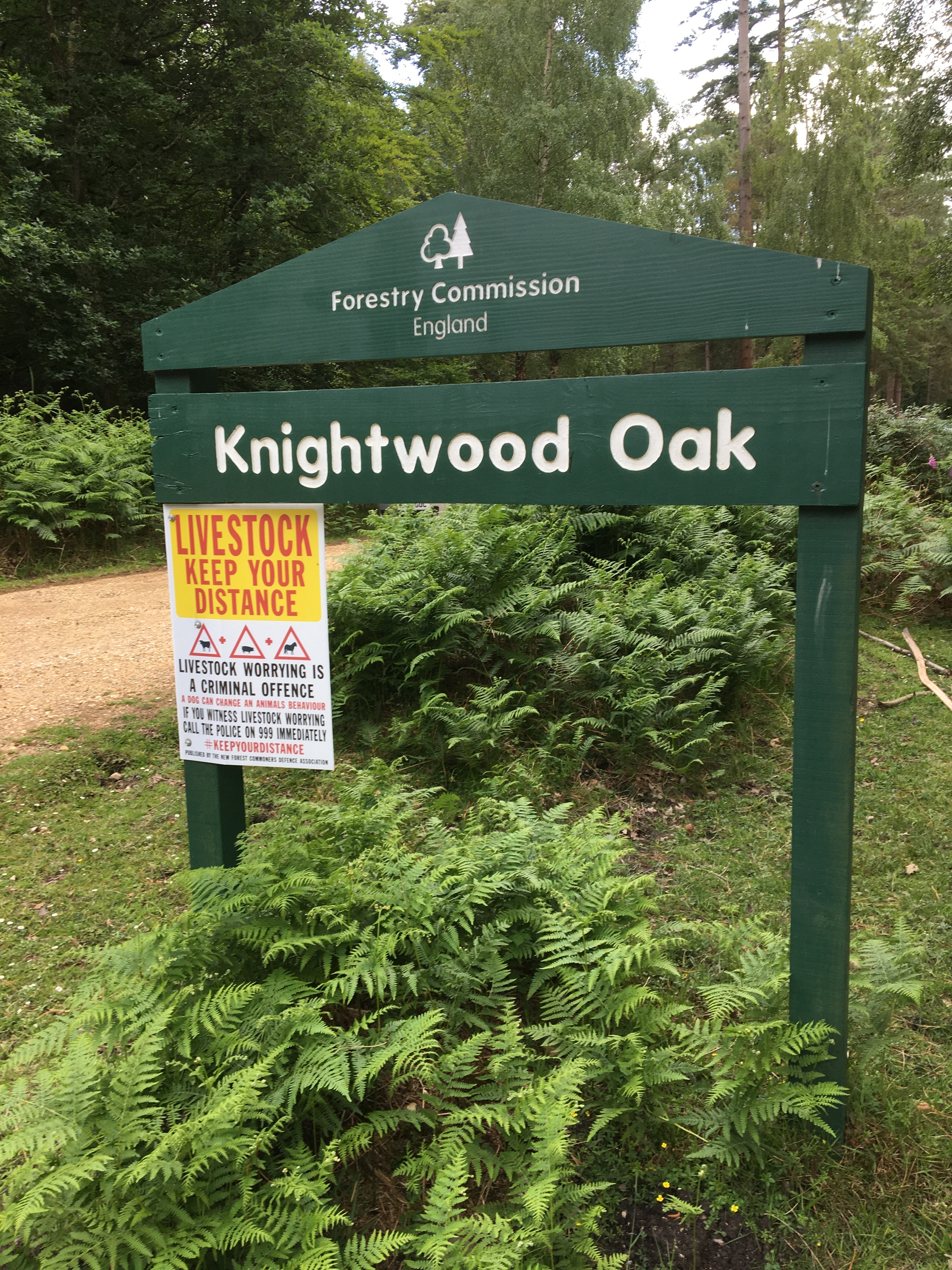 Knightwood Oak Gentle Walk