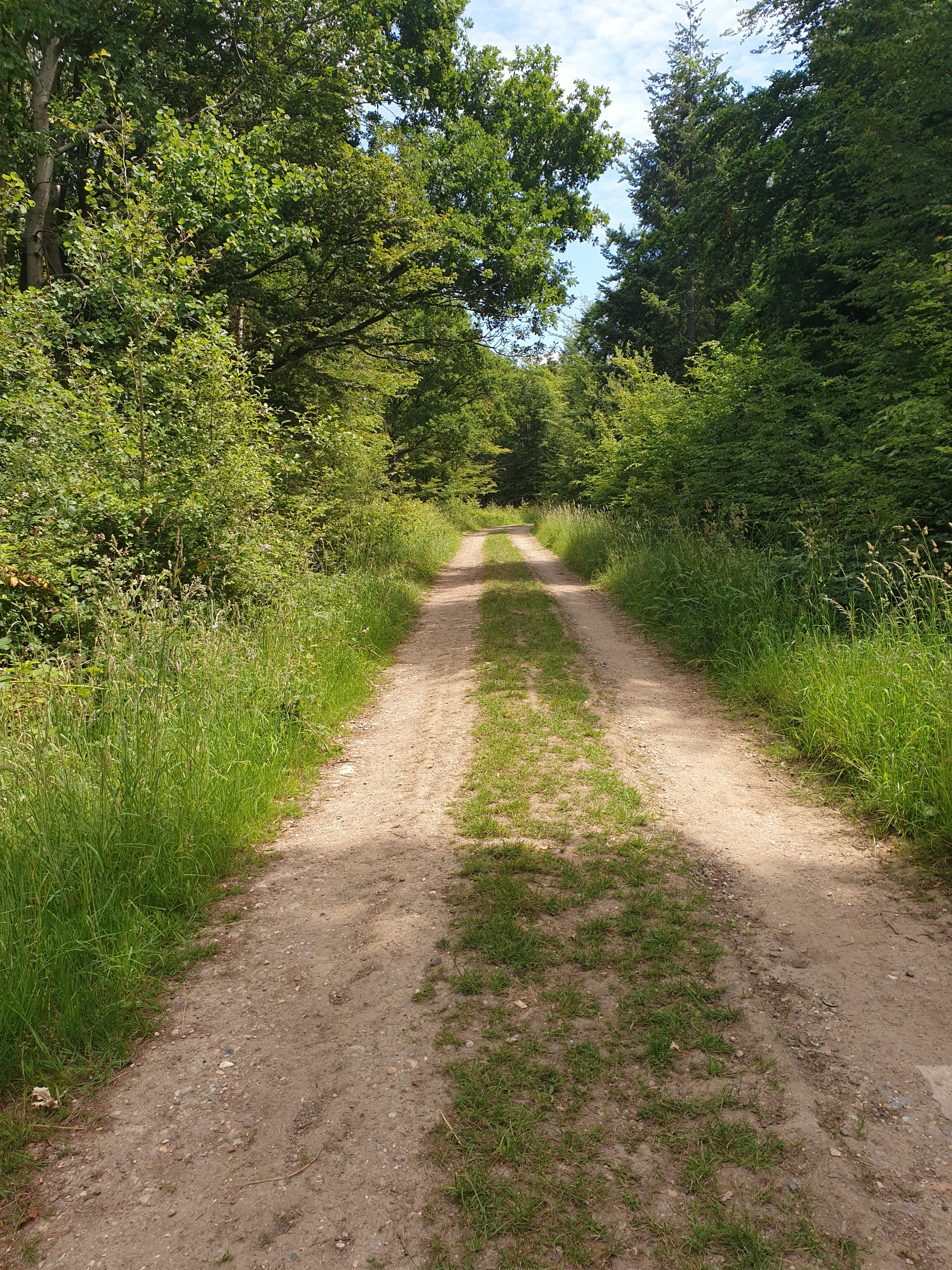 Walk & Talk - Tonwell