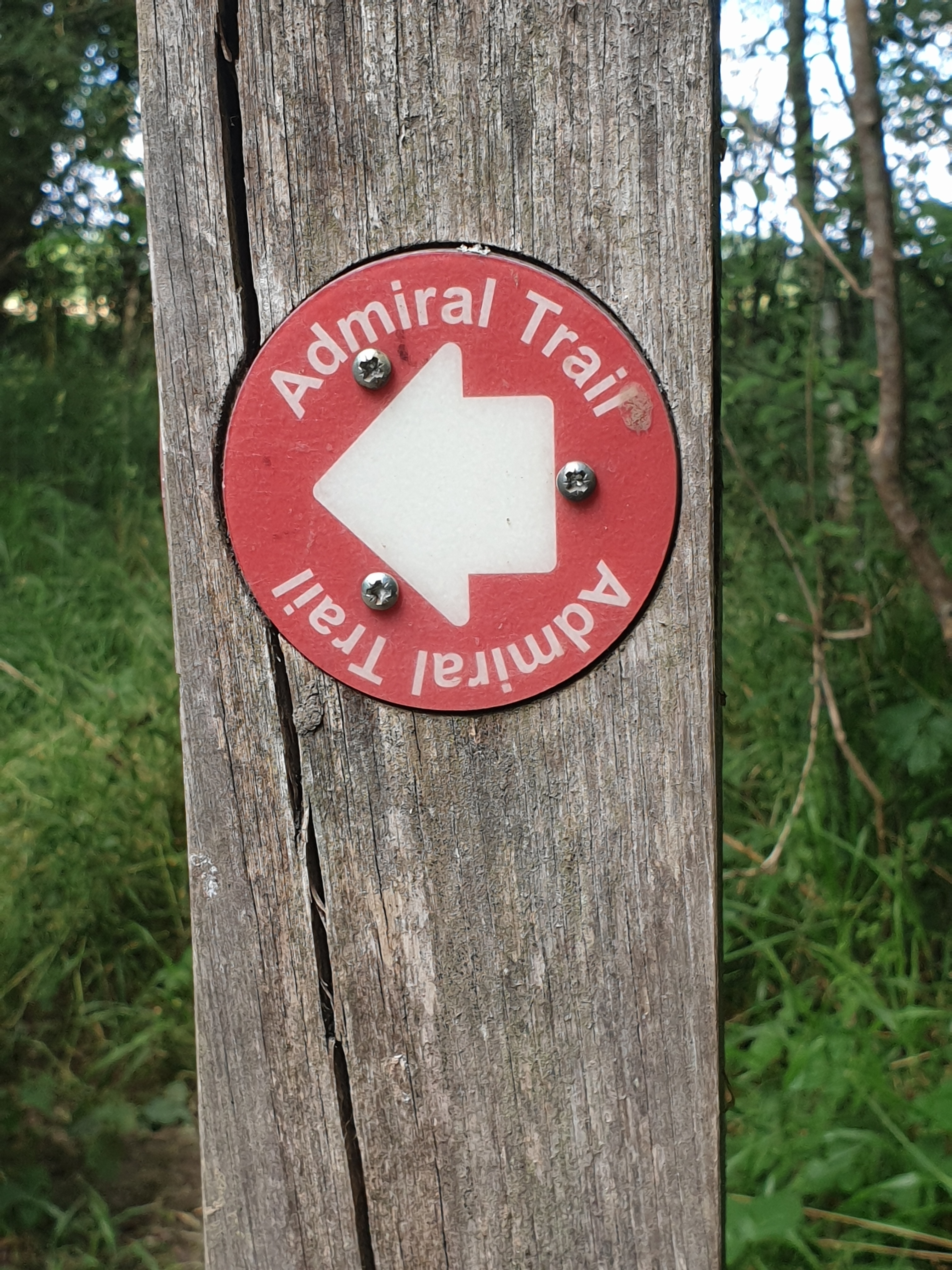 Walk & Talk - Tonwell