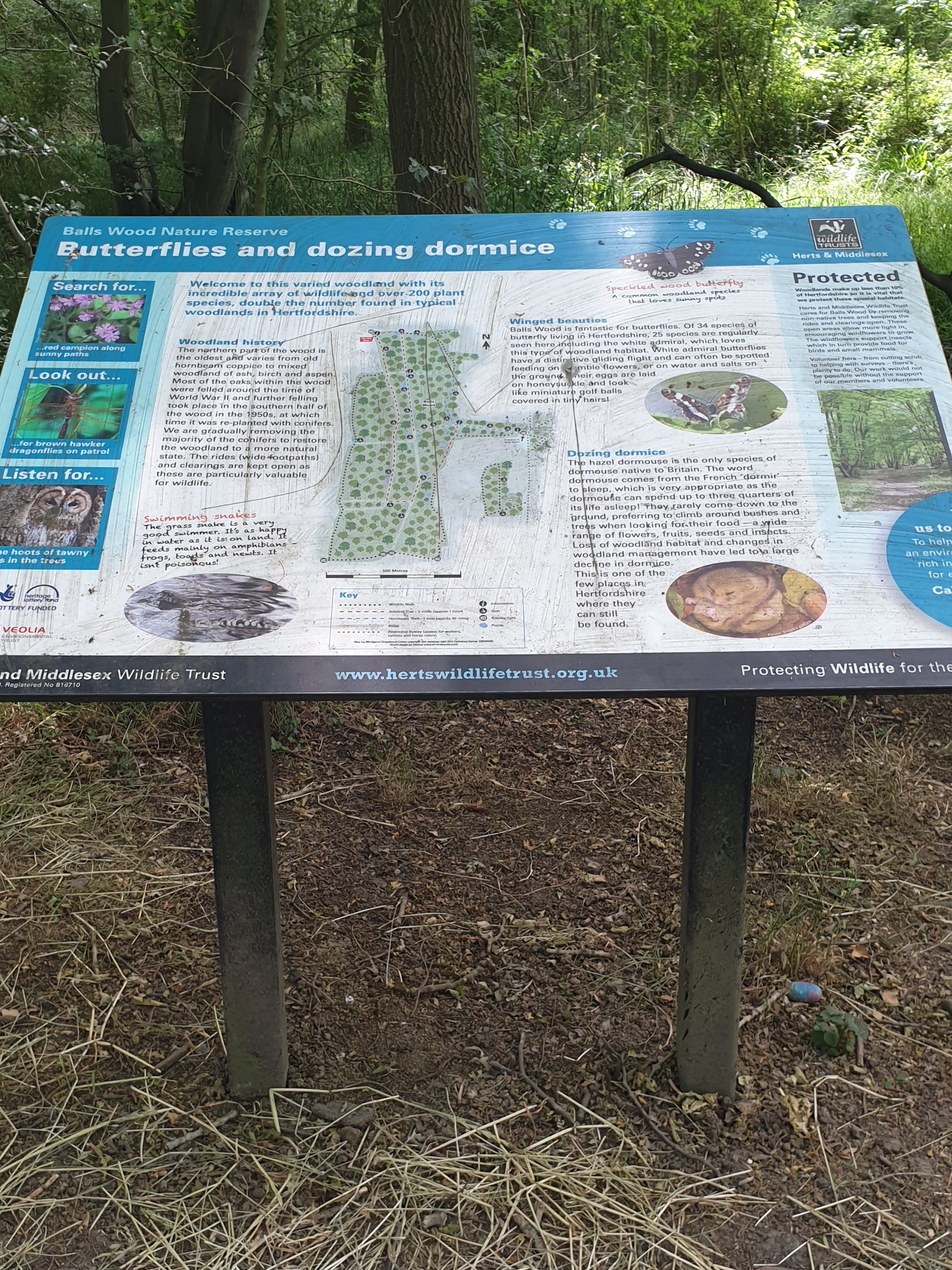 Walk & Talk - Tonwell