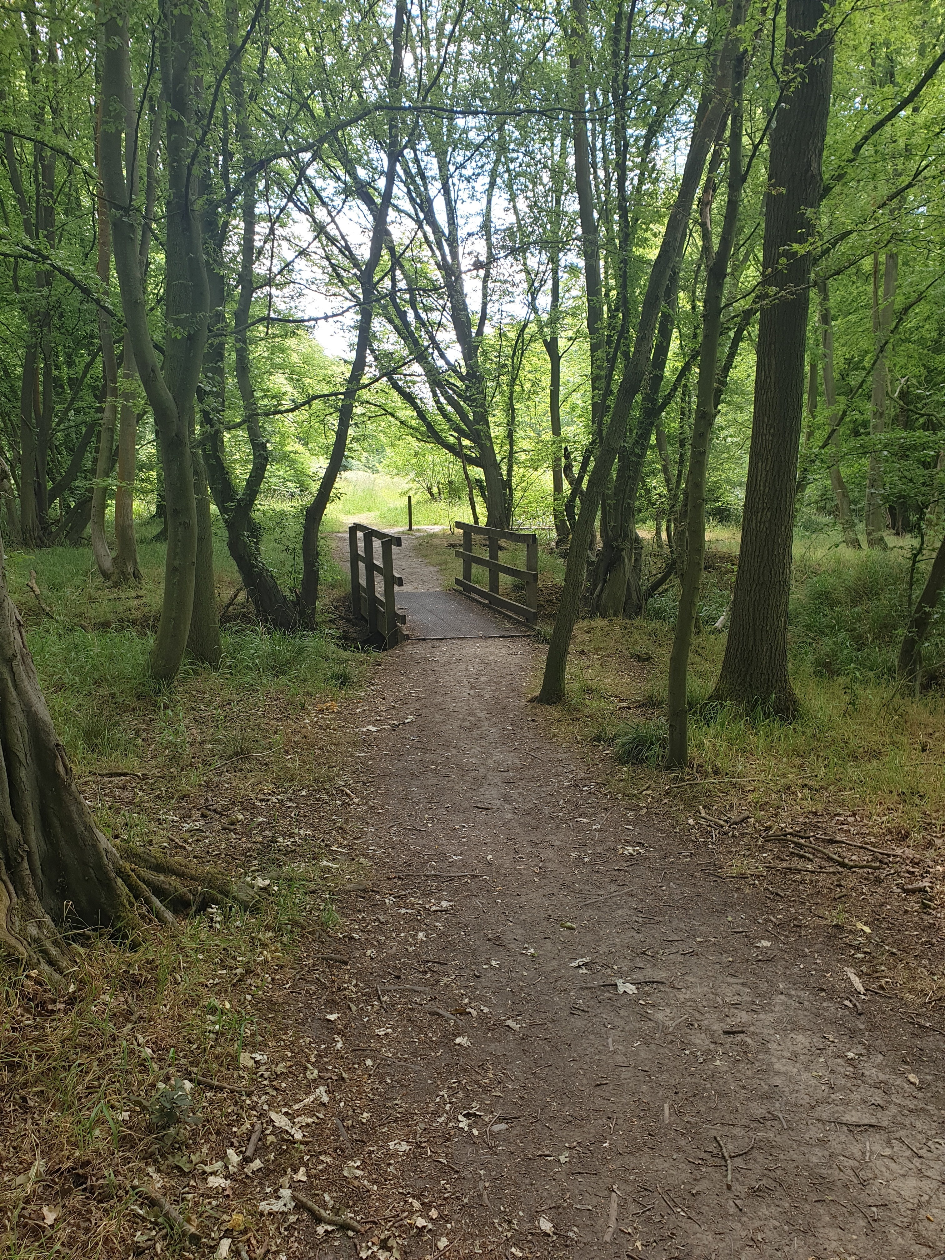 Walk & Talk - Tonwell